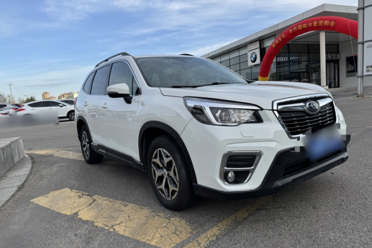 斯巴鲁 森林人 2019款 2.0i 豪华版EyeSight车身外观6002