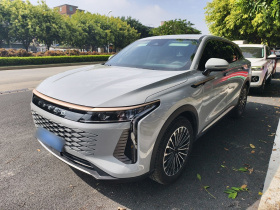 星途瑶光 2023款 400T 两驱优享飞鱼版