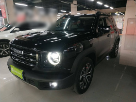 哈弗大狗 2022款 1.5T DCT两驱边牧版