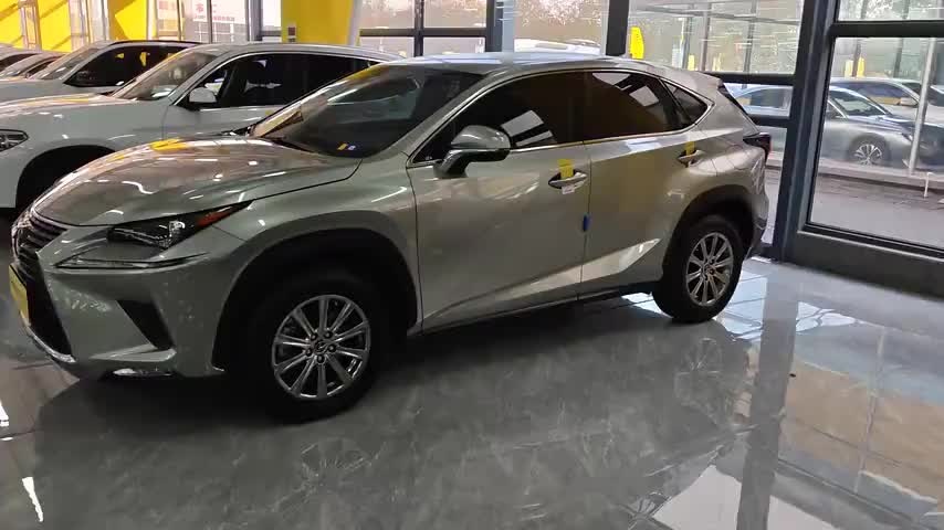 雷克萨斯NX 2020款 300 前驱 锋行版 国V实拍1