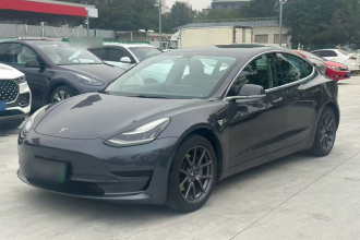 特斯拉 Model 3 2020款 标准续航后驱升级版
