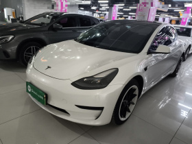 特斯拉 Model 3 2022款 后轮驱动版