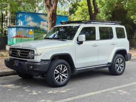 坦克300 2021款 城市版 2.0T 很有型