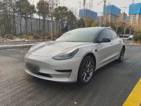 特斯拉 Model 3 2022款 后轮驱动版