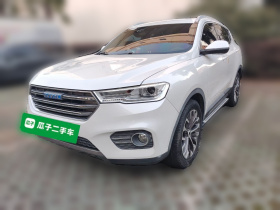 哈弗H6 2017款 蓝标 2.0T 自动两驱智尚型