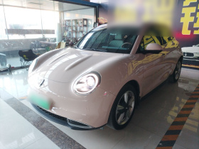 欧拉好猫 2023款 401km标准续航 豪华型 磷酸铁锂