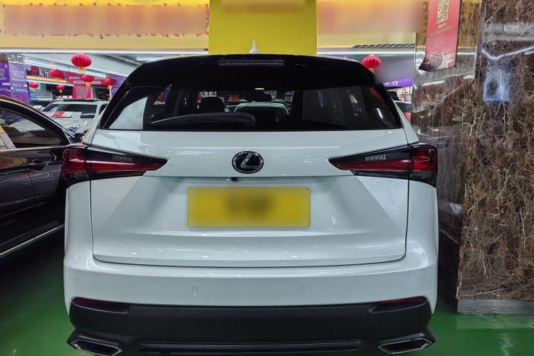 雷克萨斯NX 2018款 300 前驱 锋行版车身外观6004