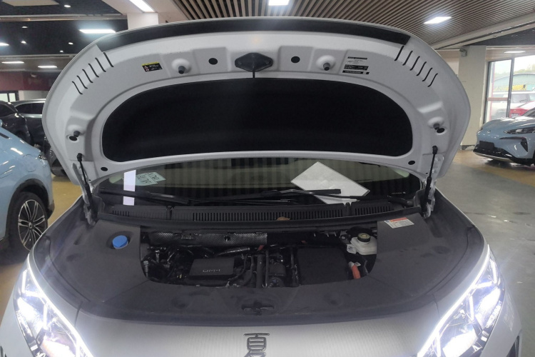 比亚迪 夏 2025款 DM-i 1.5T 180km 超越型机舱底盘24
