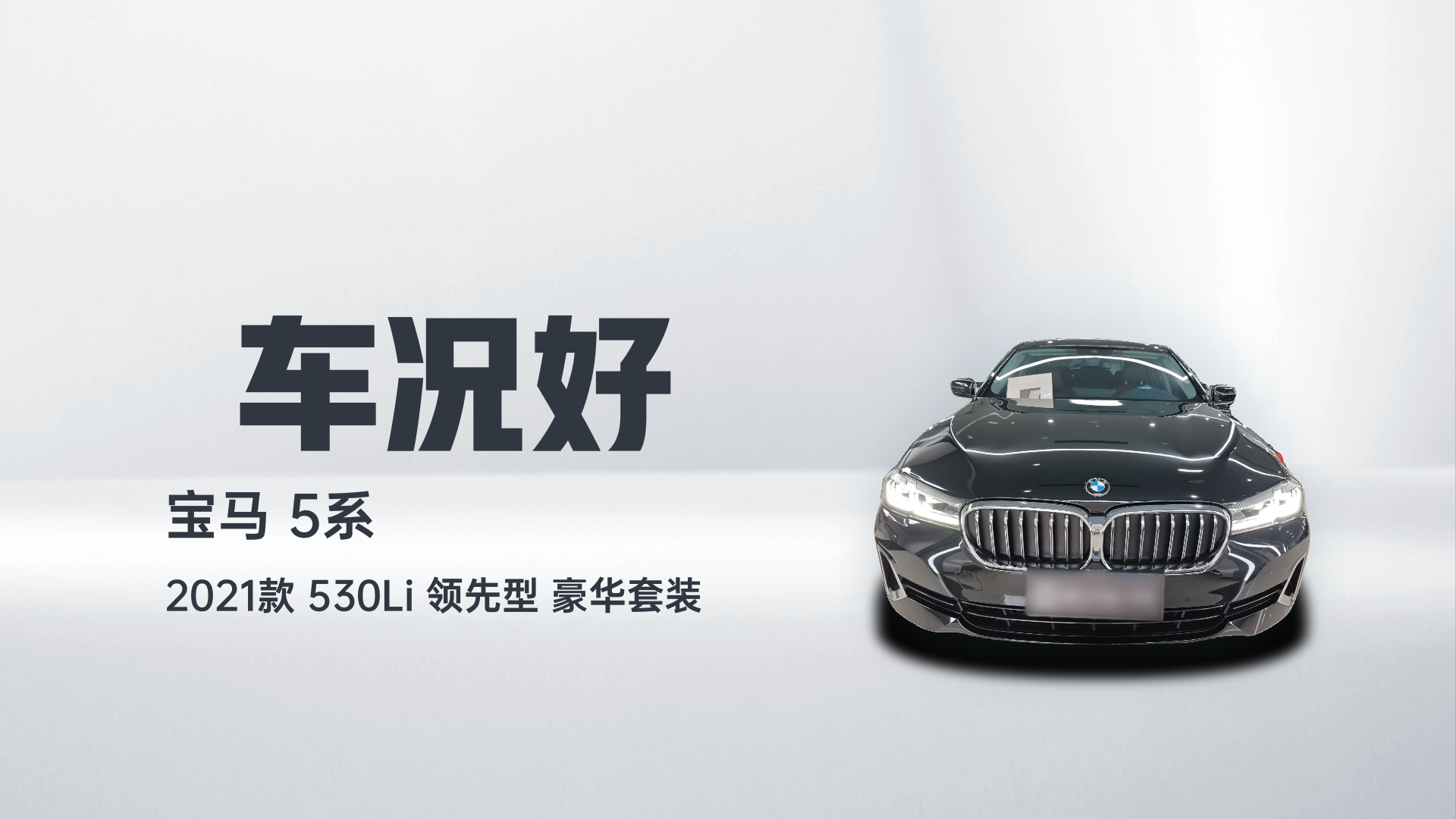 宝马5系 2021款 530Li 领先型 豪华套装解读2