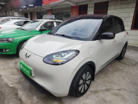 五菱汽车 五菱缤果 2024款 333km 悦享款