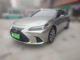 雷克萨斯ES 2025款 200 臻享版