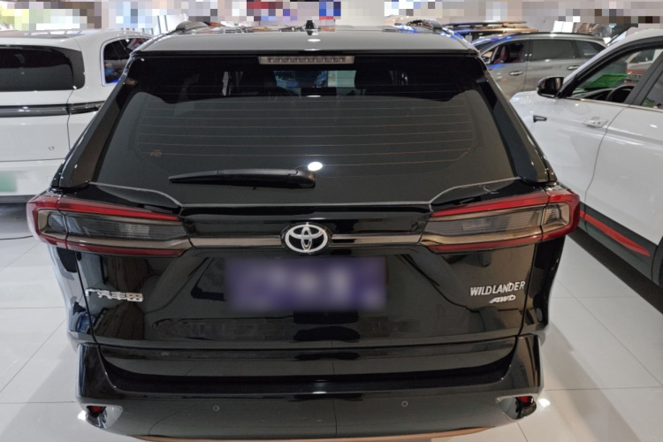 丰田 威兰达 2024款 2.0L CVT四驱豪华PLUS版车身外观6004