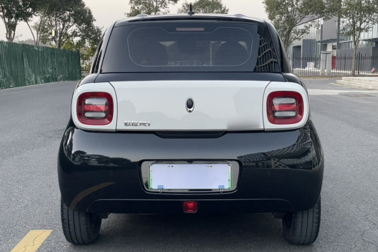 欧拉黑猫 2019款 351km 灵智版车身外观6006