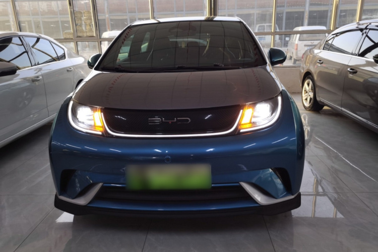 比亚迪 海豚 2021款 401km 骑士版车身外观2