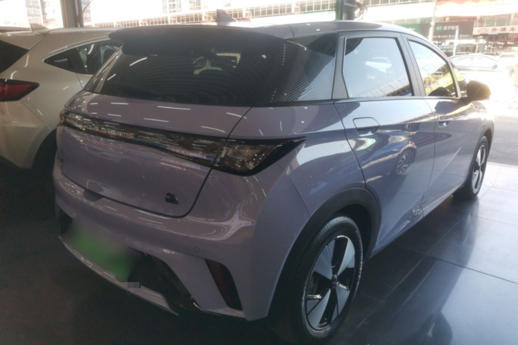 比亚迪 海豚 2023款 420km 自由版车身外观7