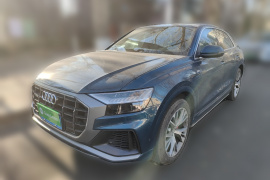 奥迪Q8 2019款 55 TFSI 臻选动感型