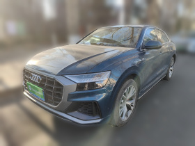 奥迪Q8 2019款 55 TFSI 臻选动感型