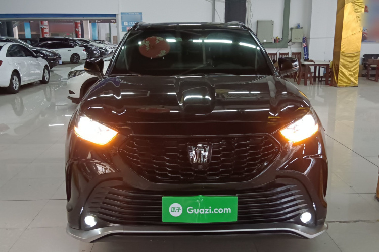 丰田 皇冠陆放 2022款 2.0T 四驱劲耀版车身外观2