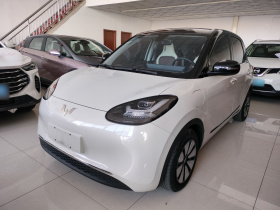 五菱汽车 五菱缤果 2023款 410km 灵犀尊享款