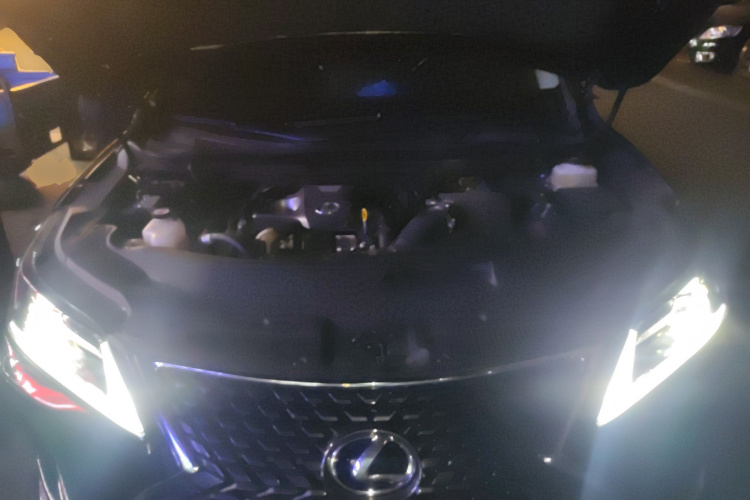 雷克萨斯RX 2020款 改款 300 两驱精英版局部细节24