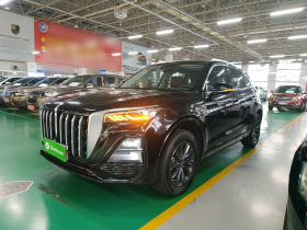 红旗HS5 2023款 2.0T 旗享Pro版