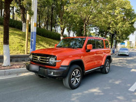 坦克300 2021款 城市版 2.0T 很有型