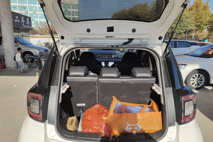 思皓 2022款 花仙子款 四叶草局部细节23