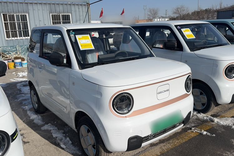 吉利银河 2024款 熊猫mini 200km 耐力熊车身外观6001