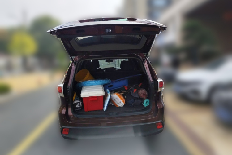 丰田 汉兰达 2017款 2.0T 四驱豪华版 7座中控内饰23