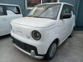 睿蓝汽车 睿蓝蓝气球 2025款 活力版