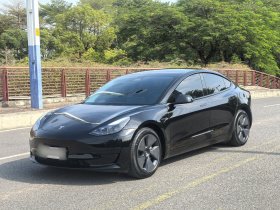特斯拉 Model 3 2022款 后轮驱动版