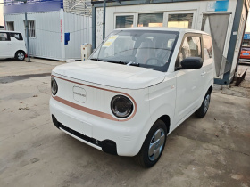 吉利银河 2024款 熊猫mini 200km 耐力熊