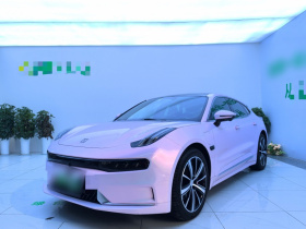 极氪001 2021款 超长续航单电机 WE版