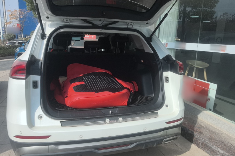 哈弗H6 2021款 国潮版 1.5T 自动冠军版机舱底盘23