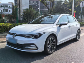 大众 高尔夫 2021款 280TSI DSG Pro