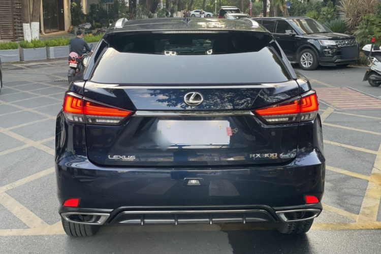 雷克萨斯RX 2021款 300 四驱F SPORT车身外观6002