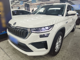 斯柯达 柯迪亚克 2024款 TSI330 5座两驱实力版