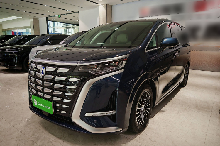 腾势D9 2024款 DM-i 980 四驱尊荣型车身外观6007