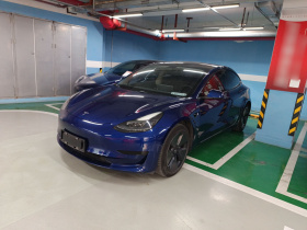 特斯拉 Model 3 2021款 标准续航后驱升级版