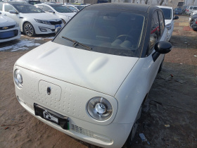 欧拉黑猫 2021款 301km 基础型