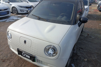 欧拉黑猫 2021款 301km 基础型