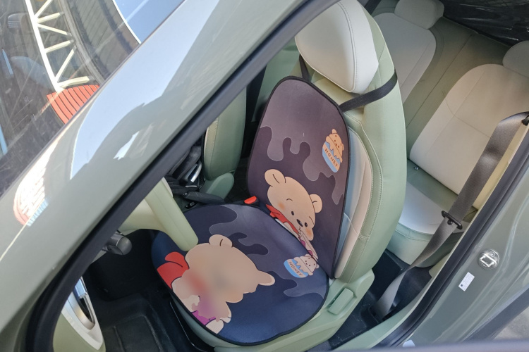 吉利银河 2025款 210km 熊猫骑士局部细节19