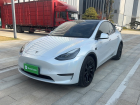 特斯拉 Model Y 2021款 标准续航后驱版