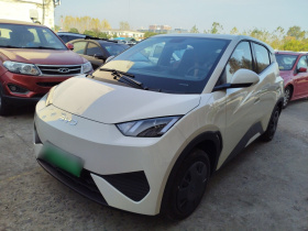 比亚迪 海鸥 2025款 智驾版 305km 活力版