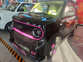 吉利银河 2025款 210km 熊猫卡丁