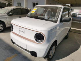 吉利银河 2024款 熊猫mini 200km 耐力熊