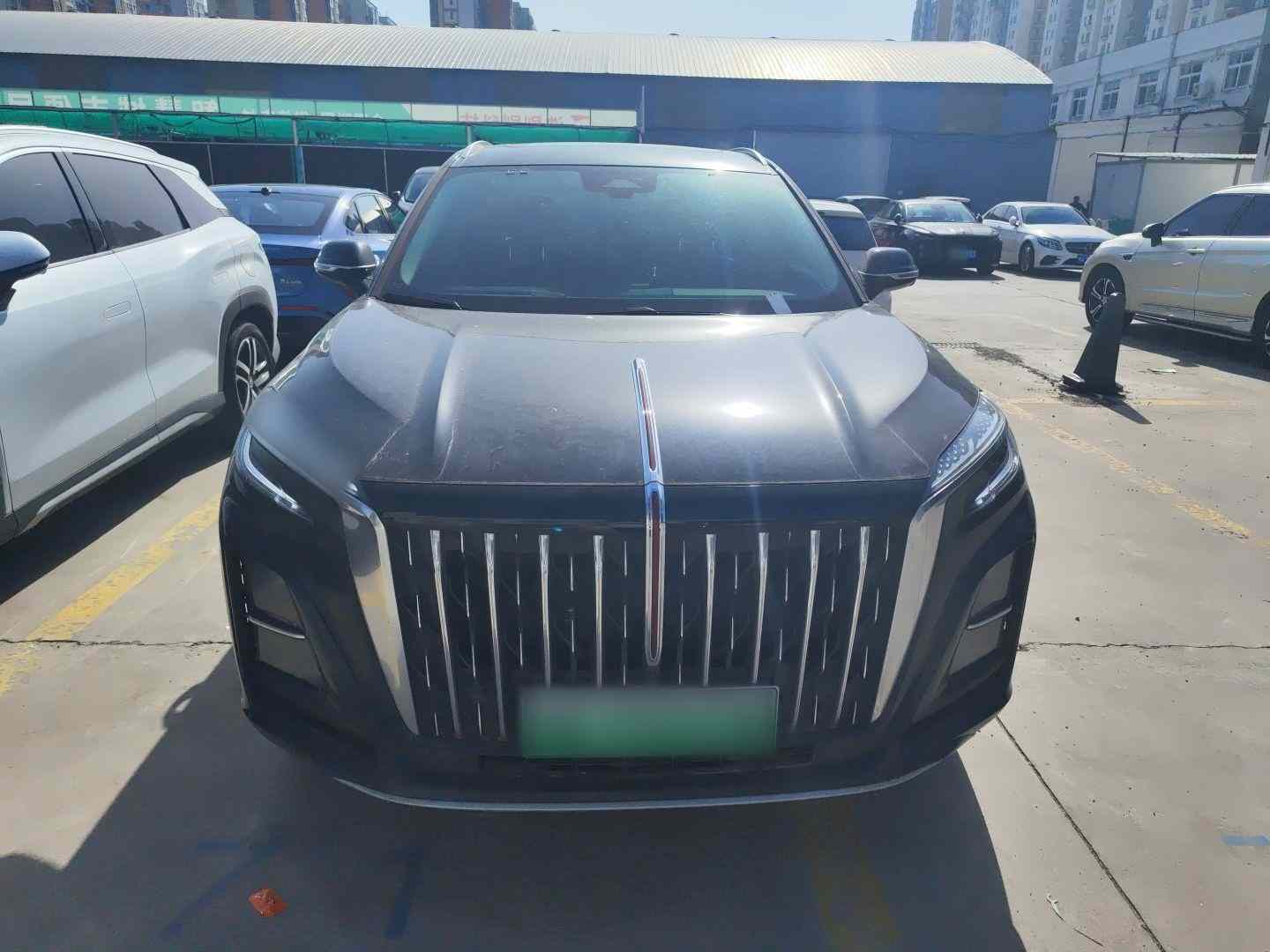 红旗HS3 PHEV 2025款 117km 劲为版(1)