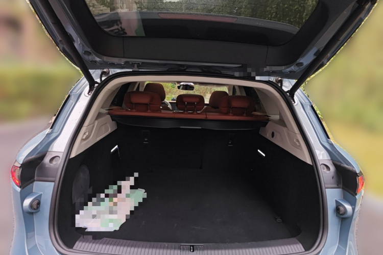 岚图汽车 岚图FREE 2023款 四驱超长续航增程版局部细节23