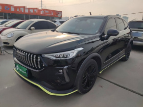 哈弗赤兔 2021款 激擎版 1.5T 铂金兔