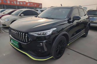 哈弗赤兔 2021款 激擎版 1.5T 铂金兔